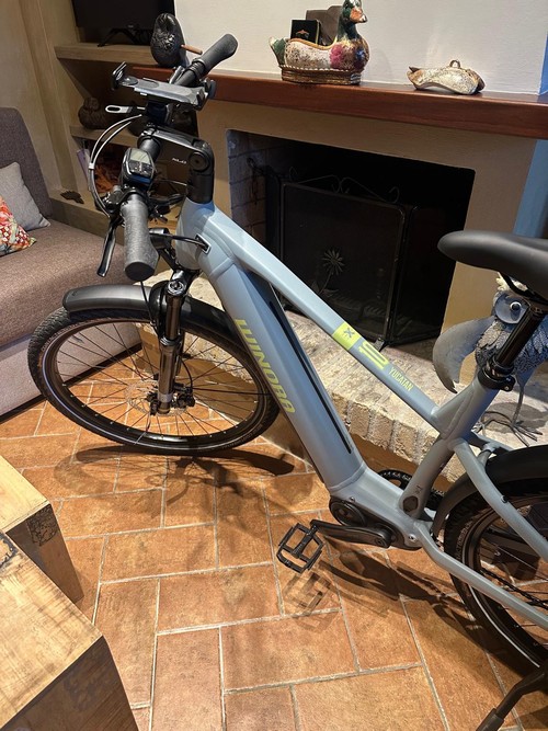 Bicicletta elettrica 