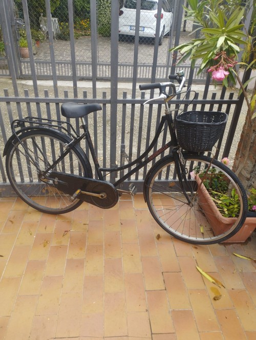 bicicletta donna