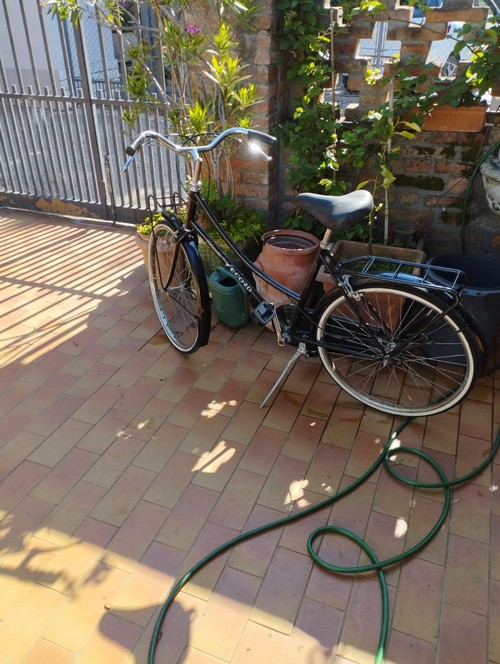 Biciclette da uomo e donna, usate