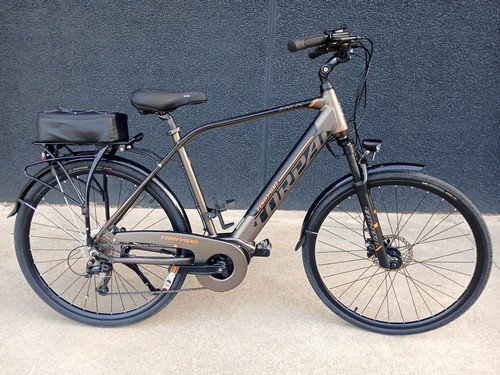 Bicicletta elettrica uomo
