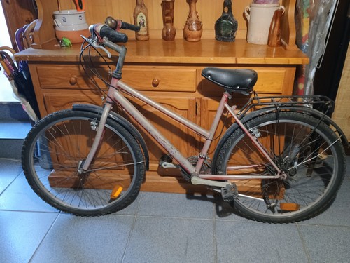 Bici da donna 